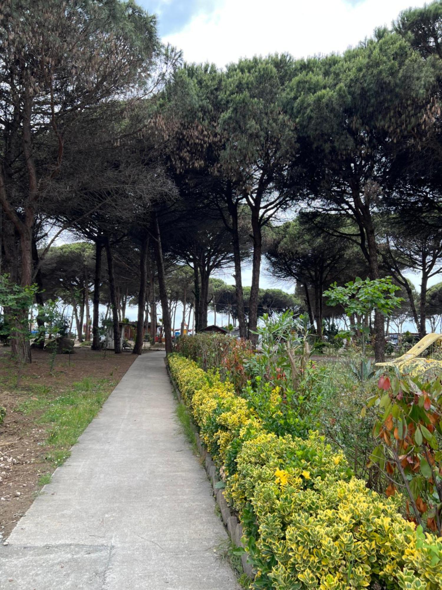 Durres Relax Qerret